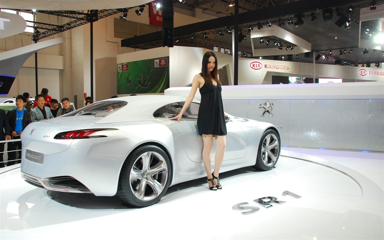 2010 Beijing International Auto Show (2) (z321x123 works) #31 - 1280x800