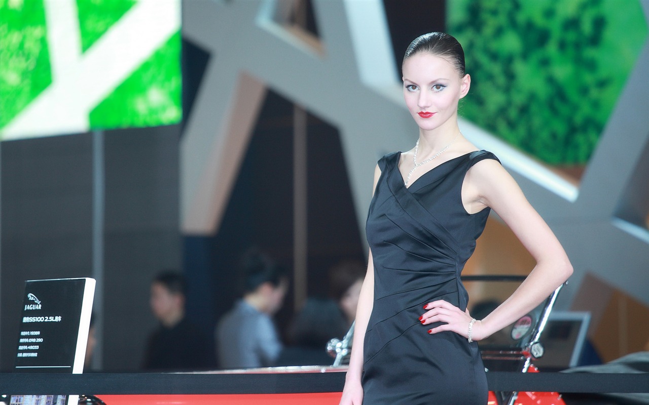 2010 Beijing Auto Show Featured Model (South Park works) #12 - 1280x800