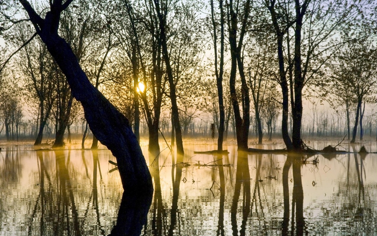 Scenery Collection Wallpapers (9) #12 - 1280x800