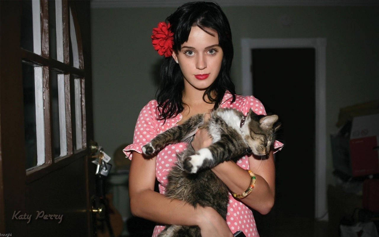 Katy Perry krásnou tapetu #1 - 1280x800