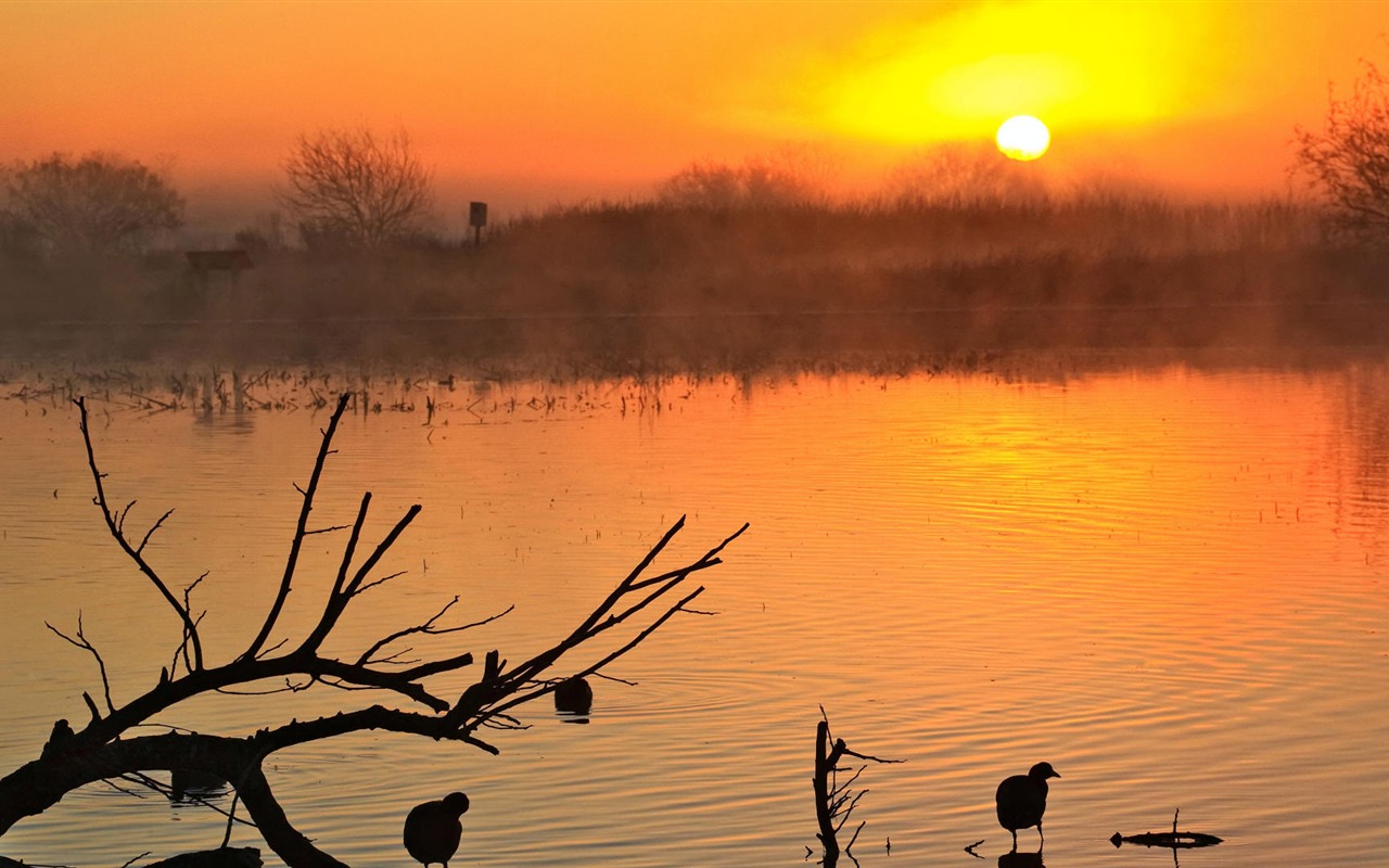 Scenery Collection Wallpapers (10) #15 - 1280x800
