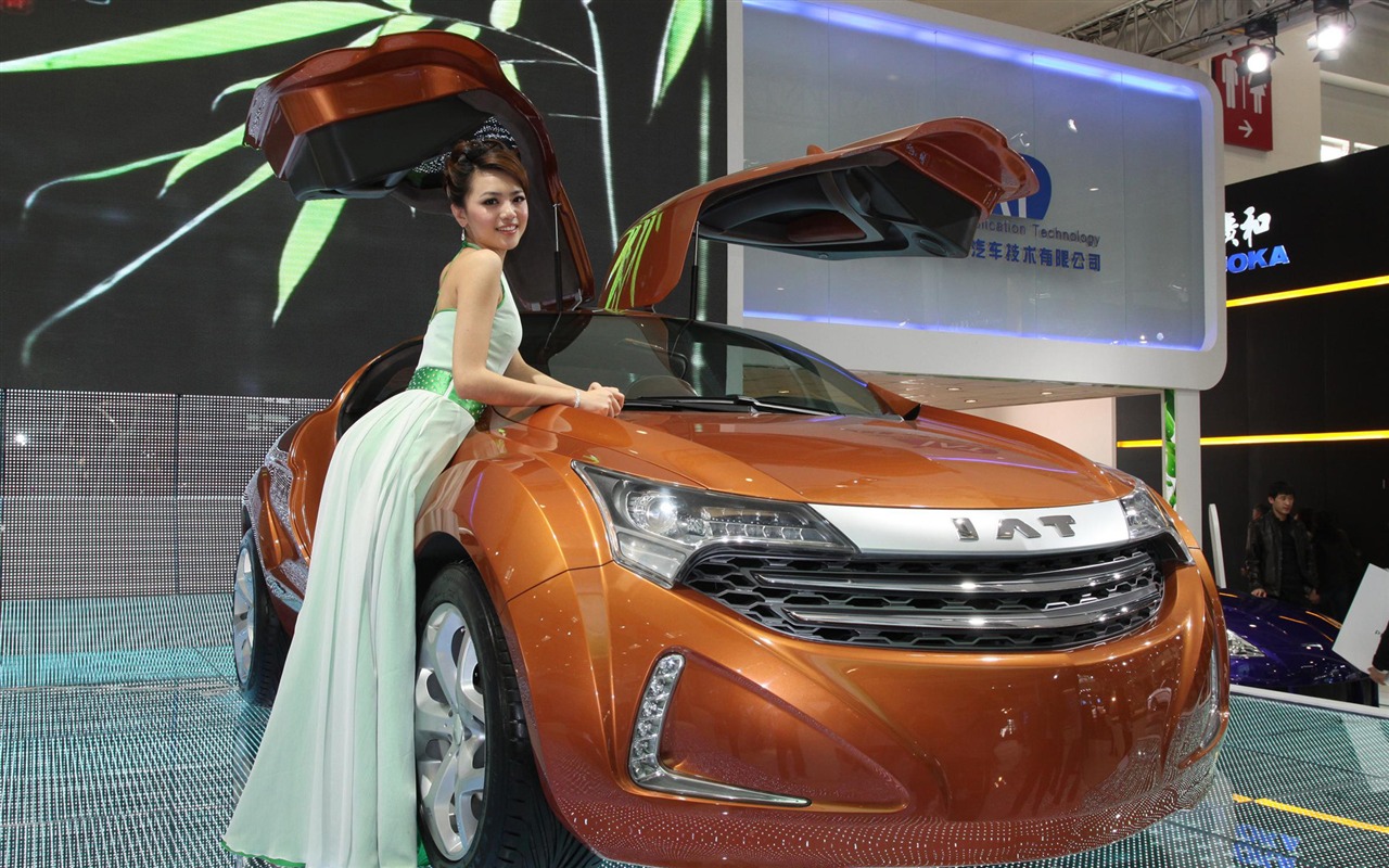 2010 Beijing Auto Show (1) (Pig besuchen Beijing Werke) #6 - 1280x800