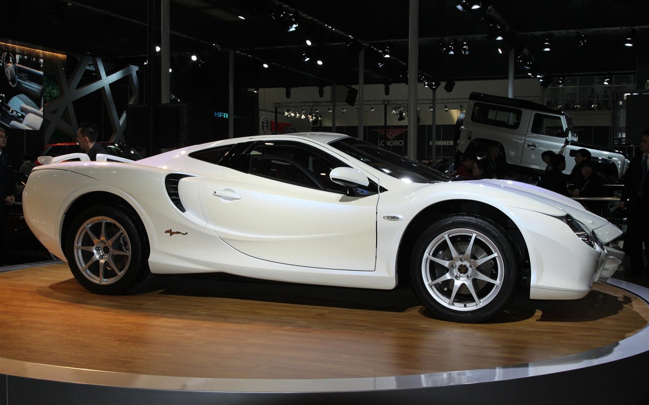 2010 Peking autosalonu (1) (vepřové navštívit Peking práce) #8 - 1280x800