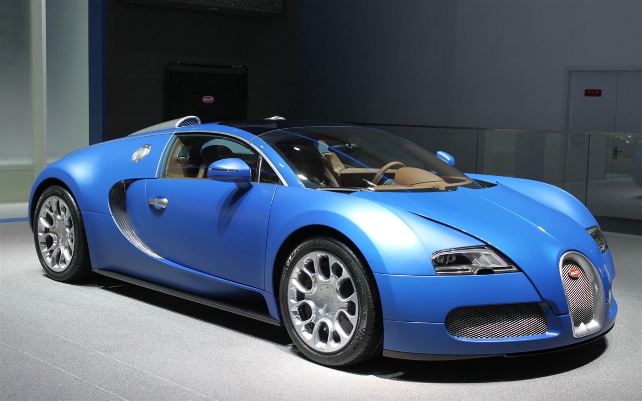 2010 Peking autosalonu (1) (vepřové navštívit Peking práce) #16 - 1280x800