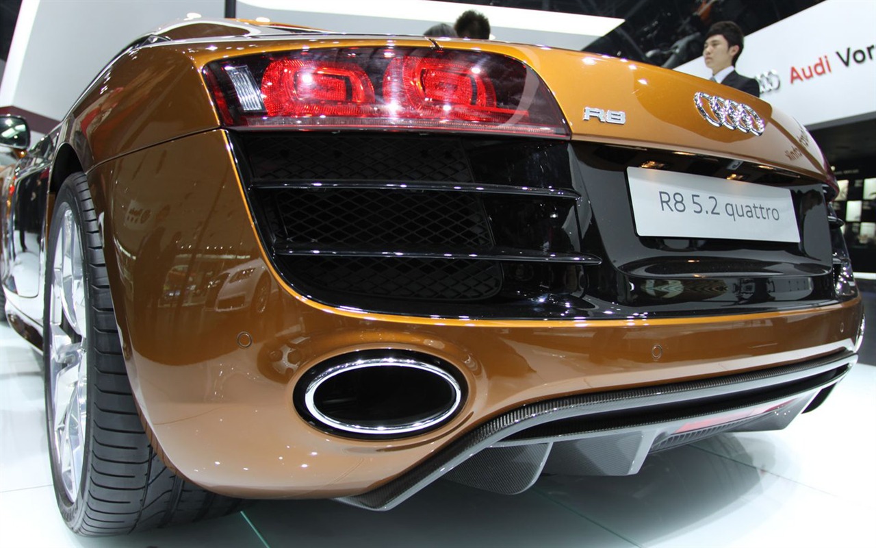 2010 Peking autosalonu (2) (vepřové navštívit Peking práce) #2 - 1280x800