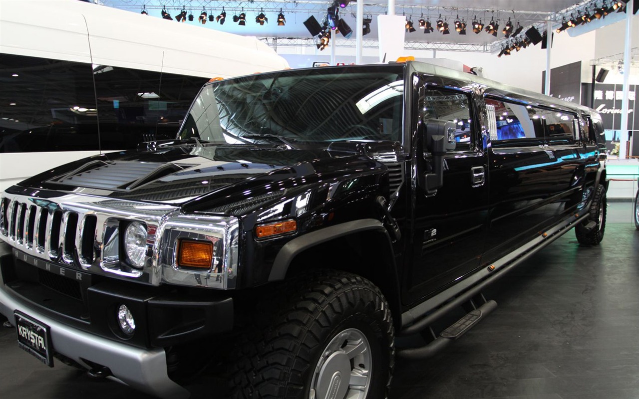 2010 Salon de l'auto de Beijing (2) (porcs visiter des oeuvres de Beijing) #14 - 1280x800