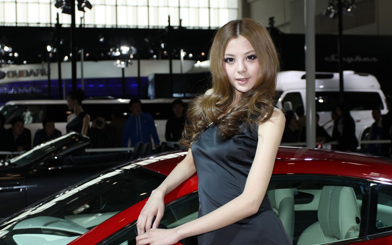 2010 Peking autosalonu (2) (vepřové navštívit Peking práce) #21 - 1280x800