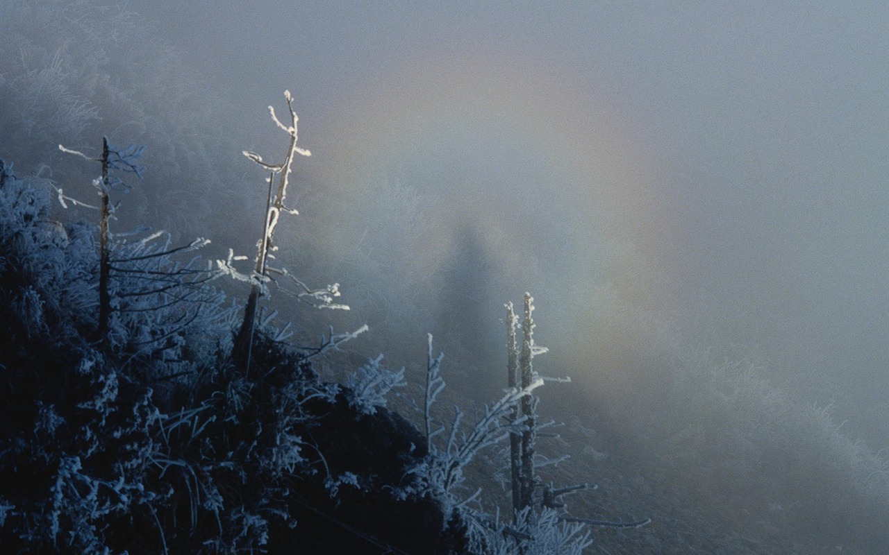Winter Snow wallpaper #14 - 1280x800