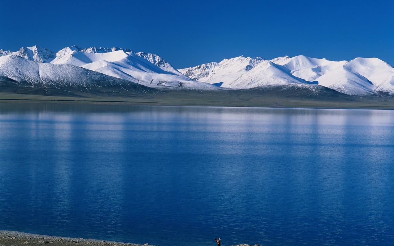 Winter Snow wallpaper #27 - 1280x800