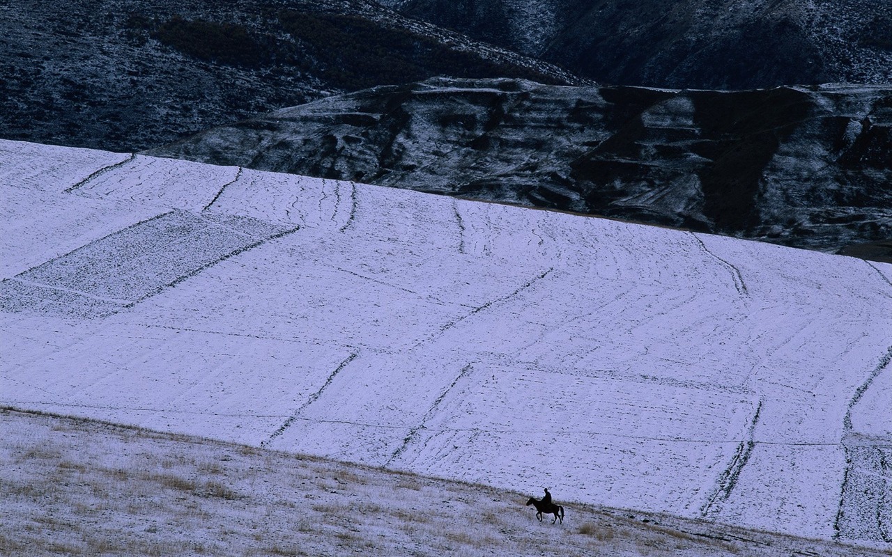 冬天雪景壁紙 #32 - 1280x800