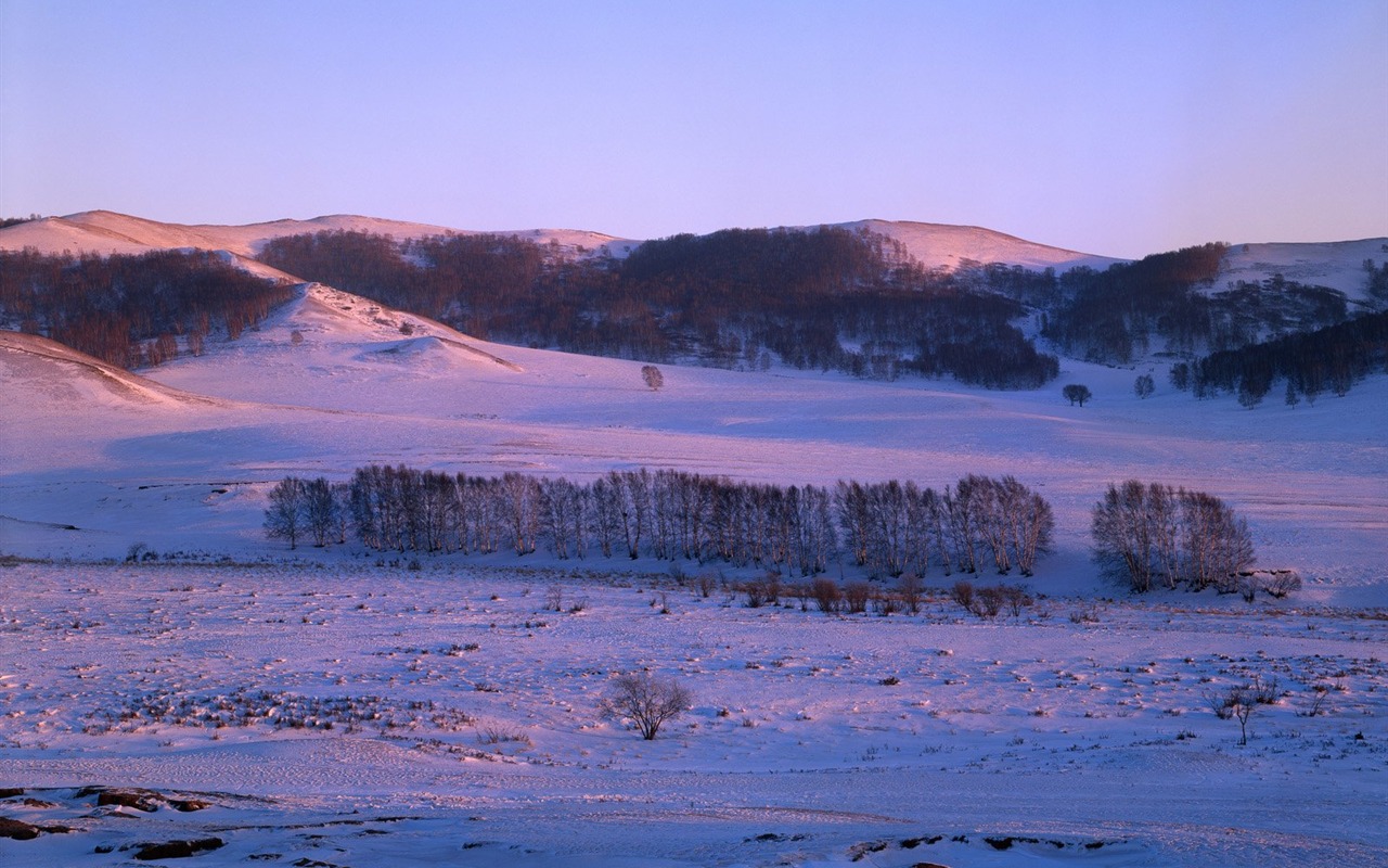 冬天雪景壁紙 #34 - 1280x800