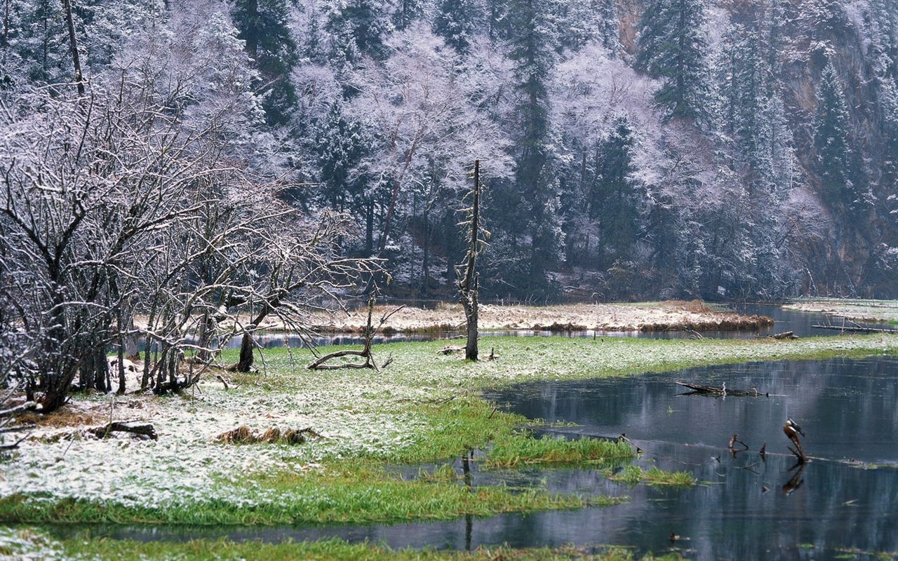 Zimní sníh tapety #36 - 1280x800