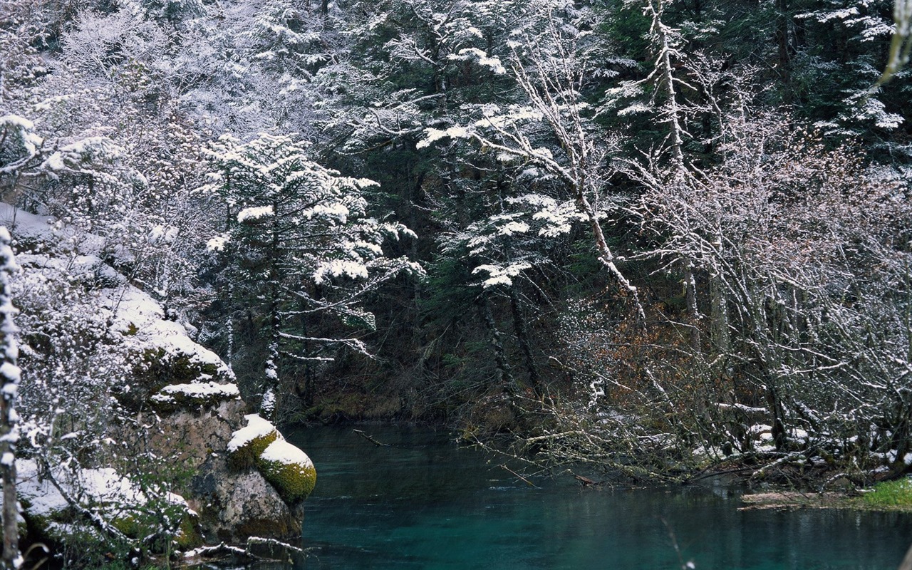 Zimní sníh tapety #37 - 1280x800