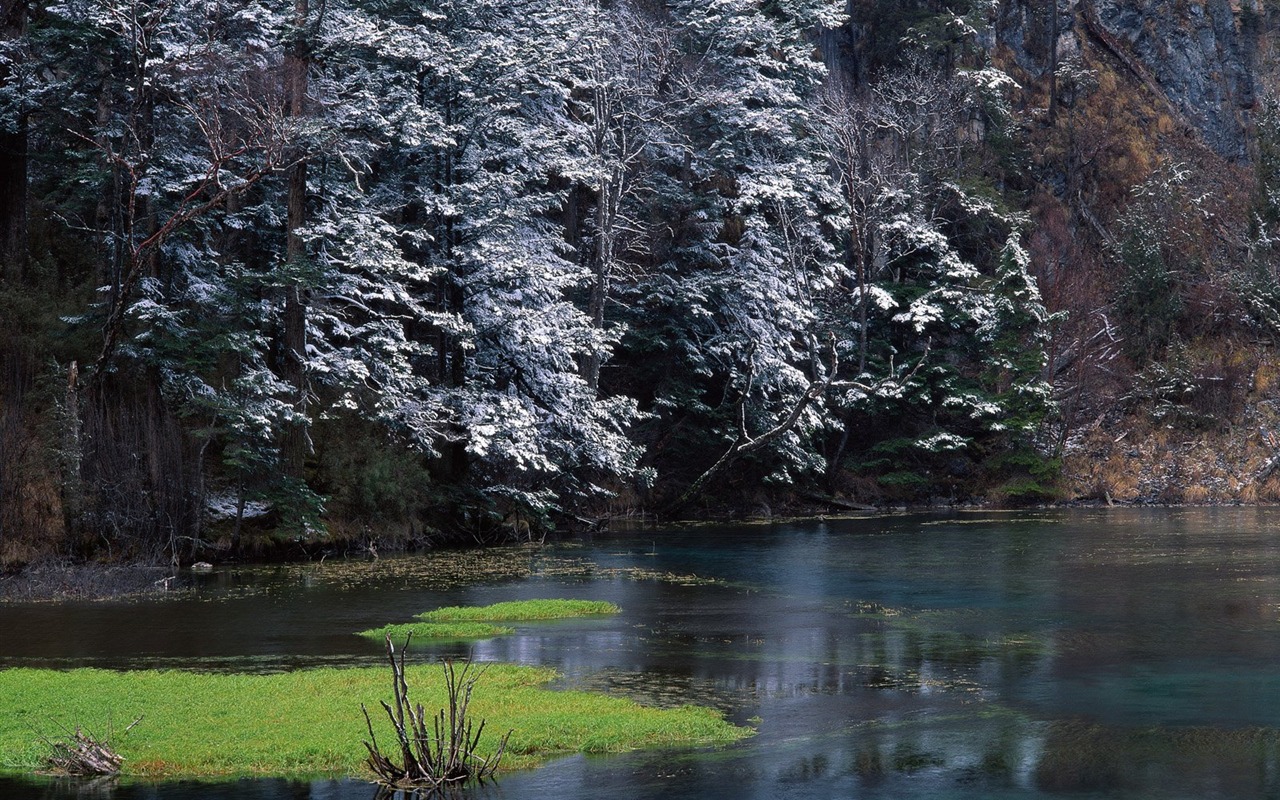 冬天雪景壁紙 #38 - 1280x800
