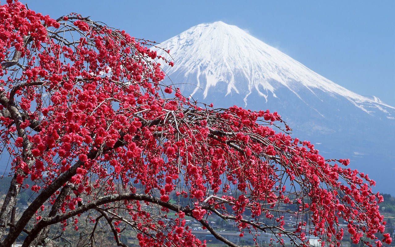 日本富士山 壁紙(一) #1 - 1280x800