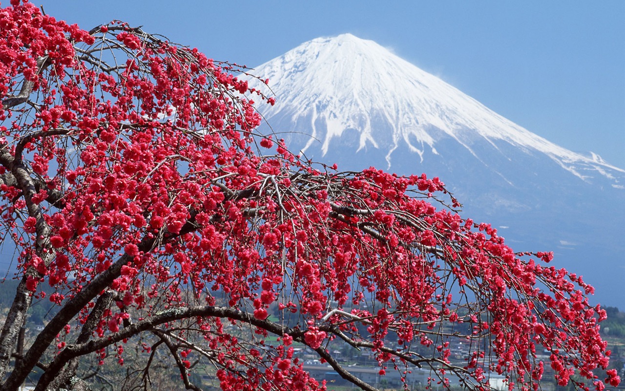 日本富士山 壁纸(一)1 - 1280x800