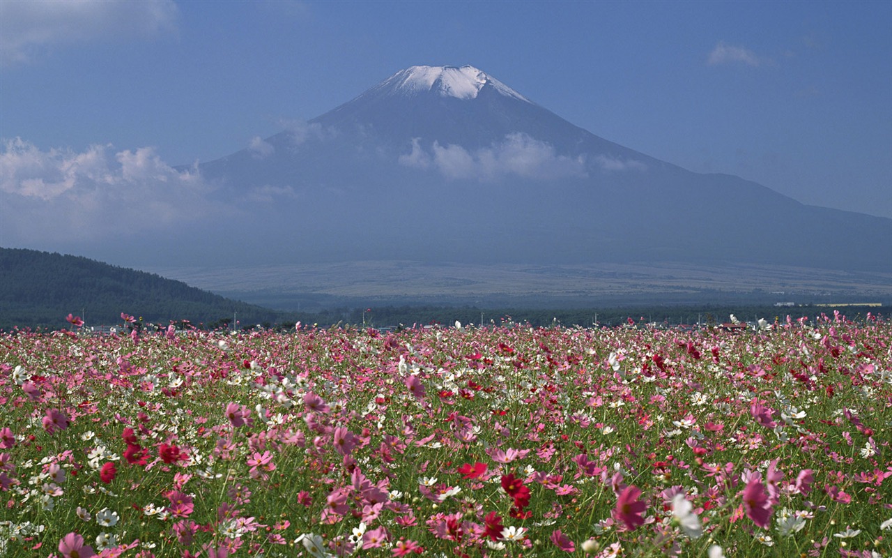 Mount Fuji, Japan wallpaper (1) #20 - 1280x800