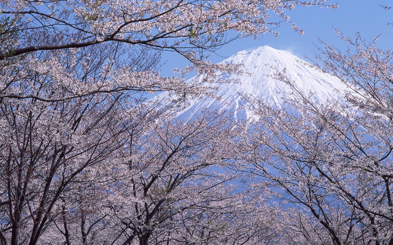 日本富士山 壁纸(二)9 - 1280x800