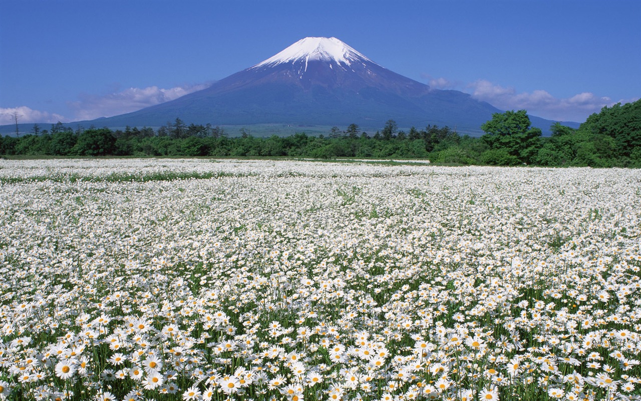 Mount Fuji, Japonsko tapety (2) #15 - 1280x800