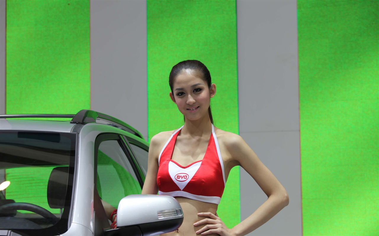2010 Beijing International Auto Show beauty (1) (the wind chasing the clouds works) #10 - 1280x800
