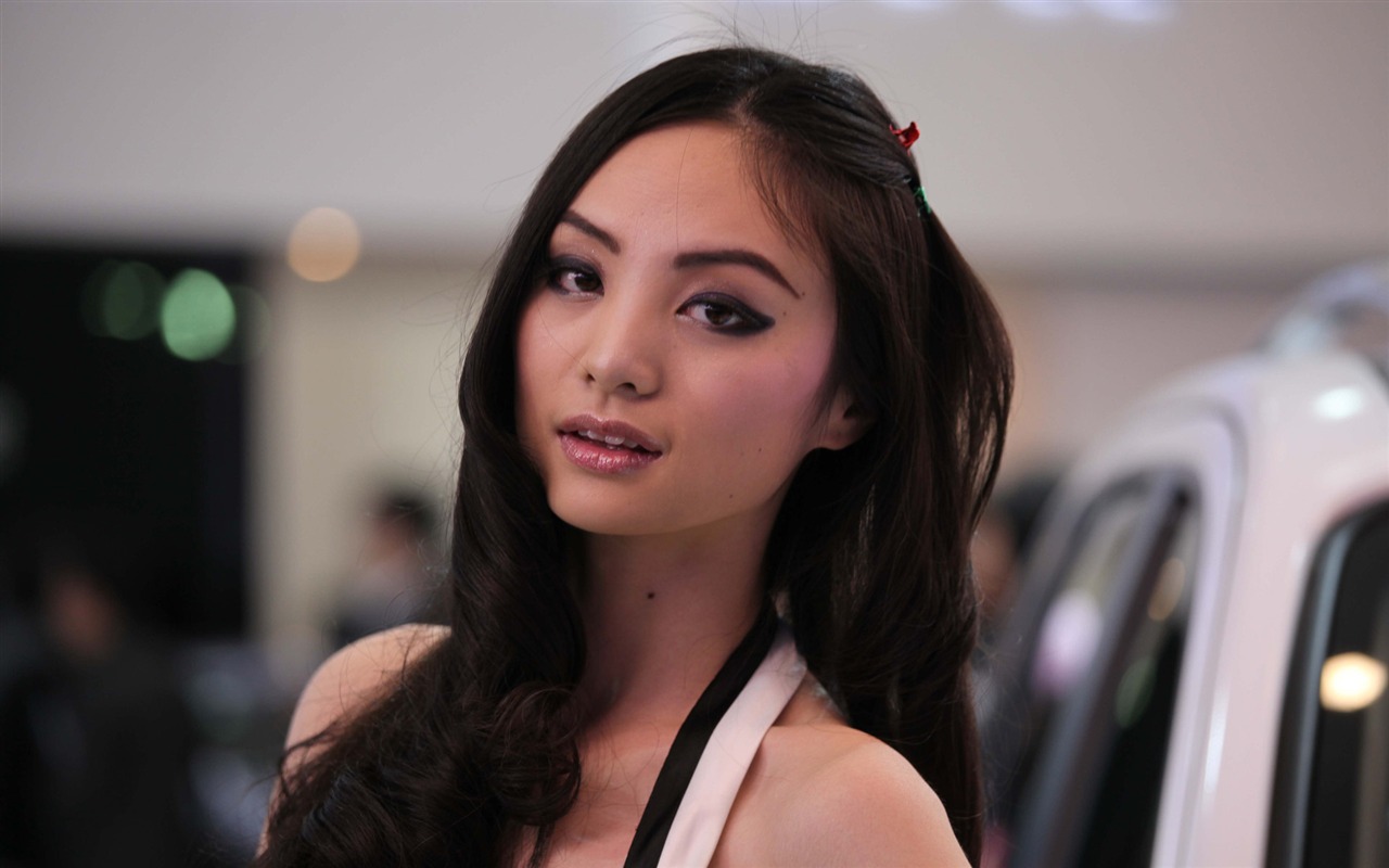 2010 Beijing International Auto Show beauty (2) (the wind chasing the clouds works) #12 - 1280x800