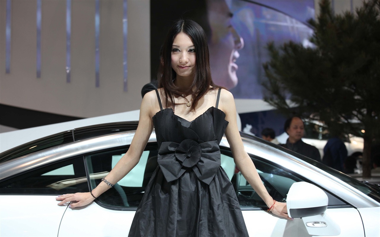2010 Beijing International Auto Show beauty (2) (the wind chasing the clouds works) #38 - 1280x800