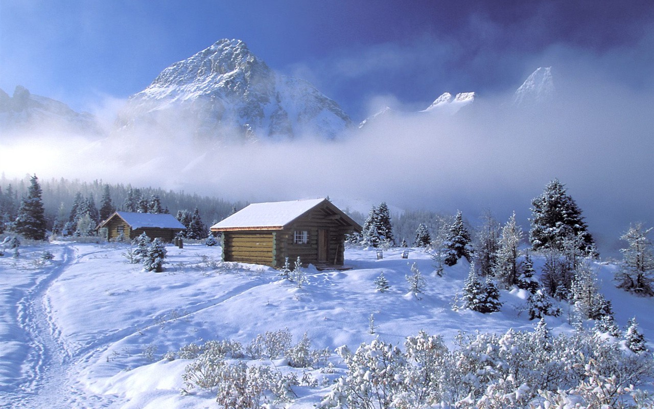 冬天雪景壁紙(二) #2 - 1280x800