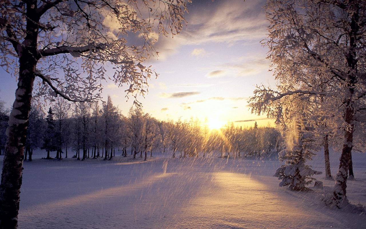 冬天雪景壁紙(二) #8 - 1280x800