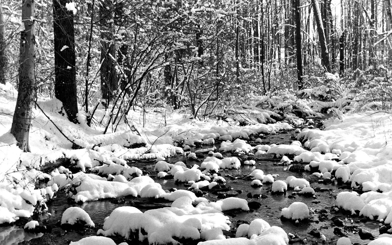 Winter Snow wallpaper (2) #11 - 1280x800