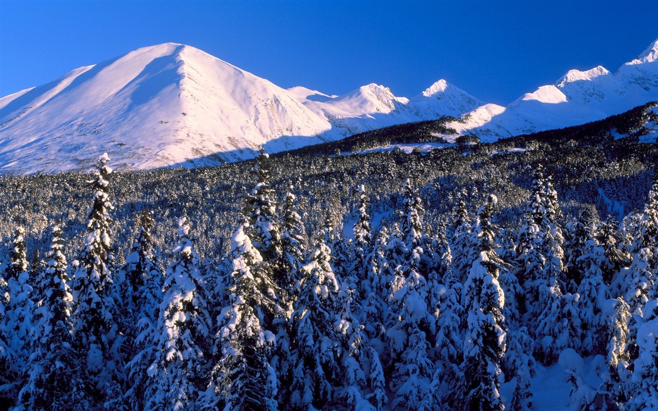 冬天雪景壁紙(二) #12 - 1280x800