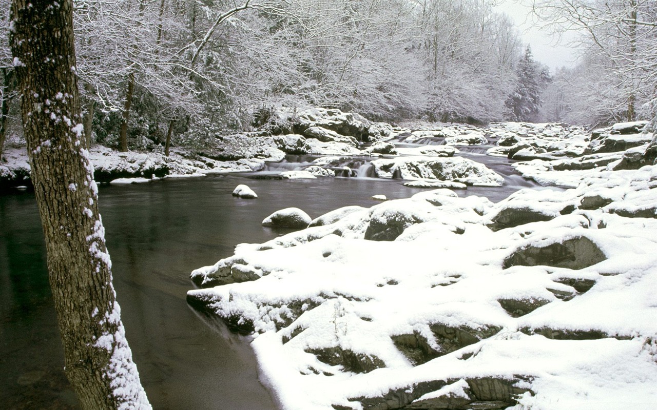 冬天雪景壁紙(二) #14 - 1280x800