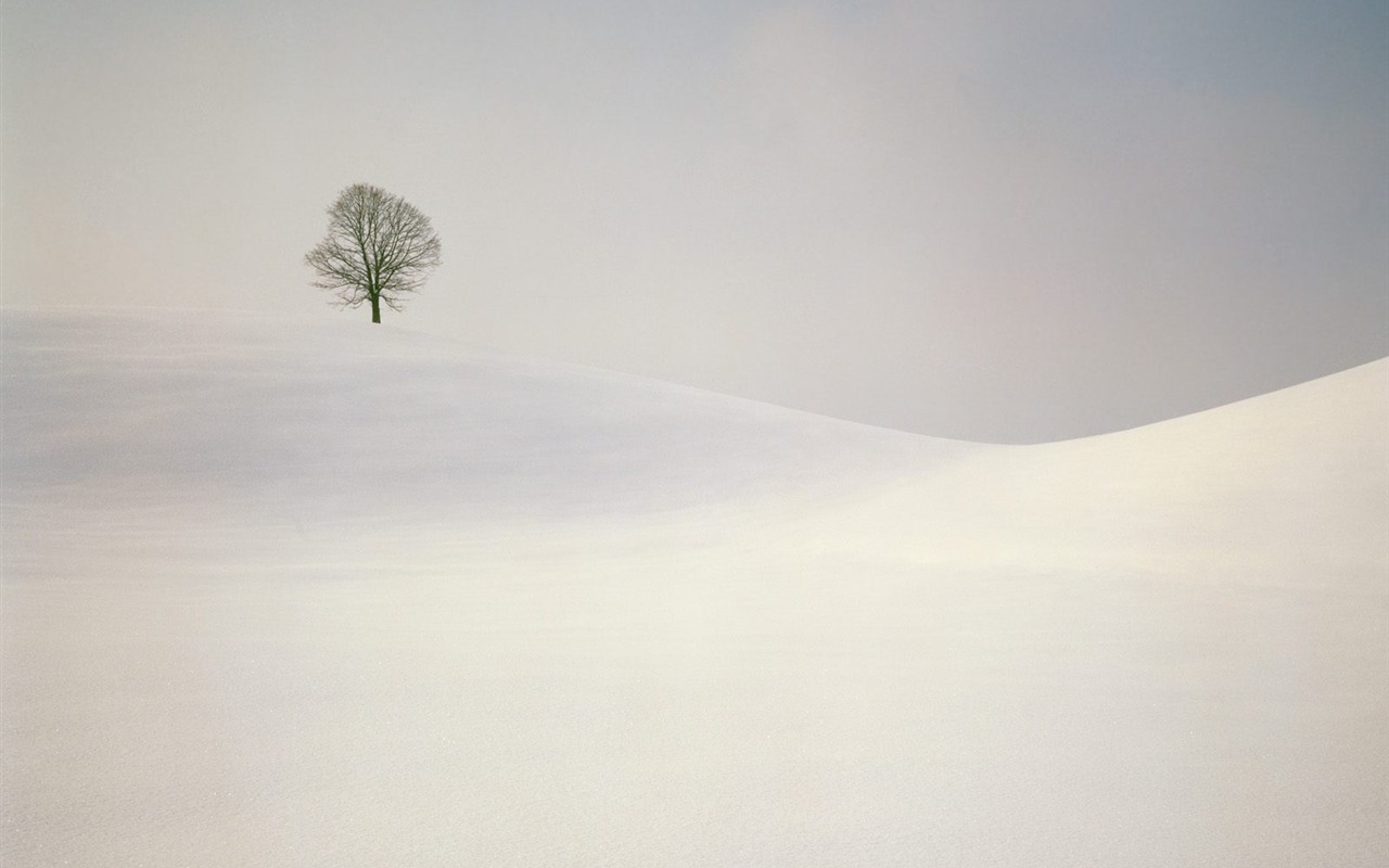 冬天雪景壁紙(二) #17 - 1280x800