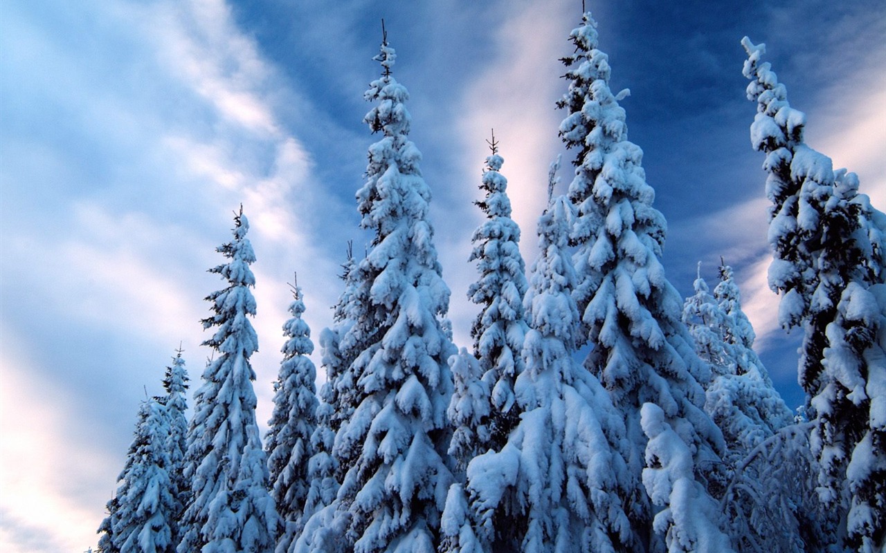 冬天雪景壁紙(二) #19 - 1280x800