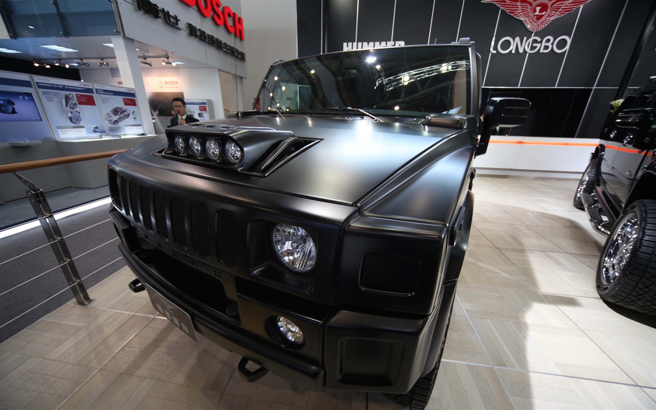 2010 Beijing Auto Show (the wind chasing the clouds works) #28 - 1280x800