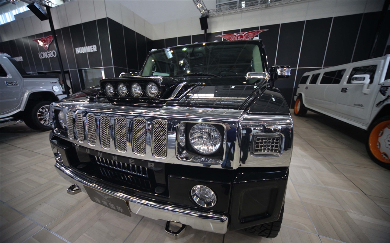 2010 Beijing Auto Show (the wind chasing the clouds works) #30 - 1280x800
