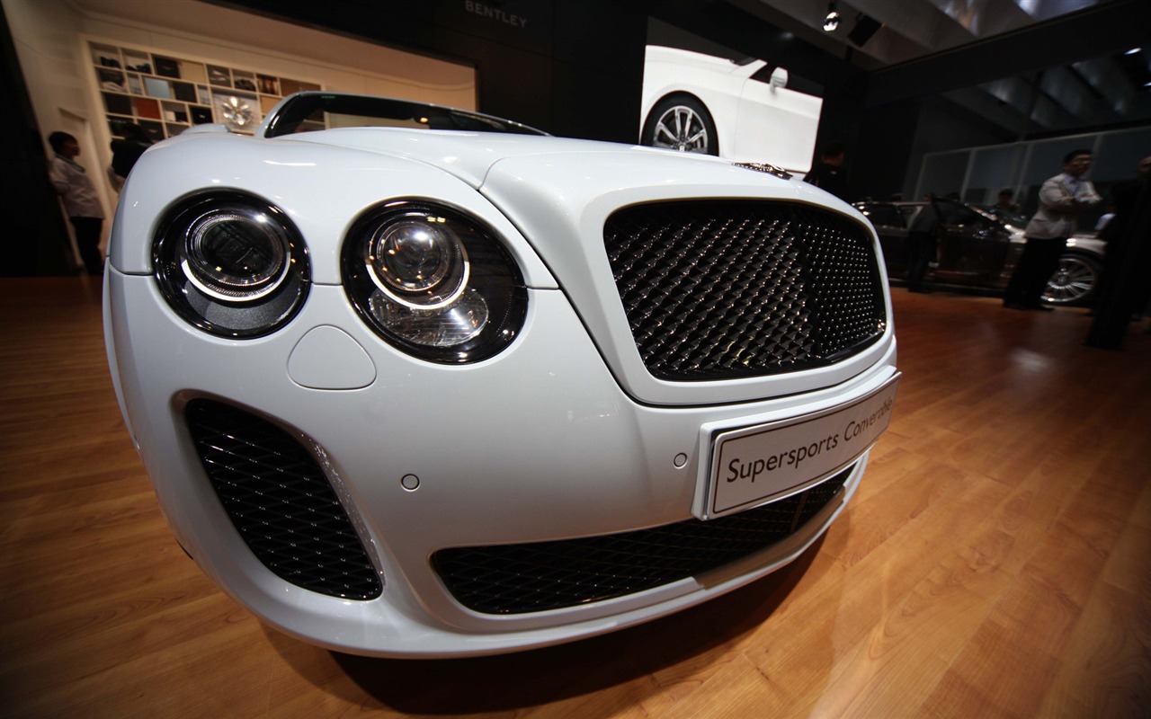 2010 Beijing Auto Show (the wind chasing the clouds works) #35 - 1280x800
