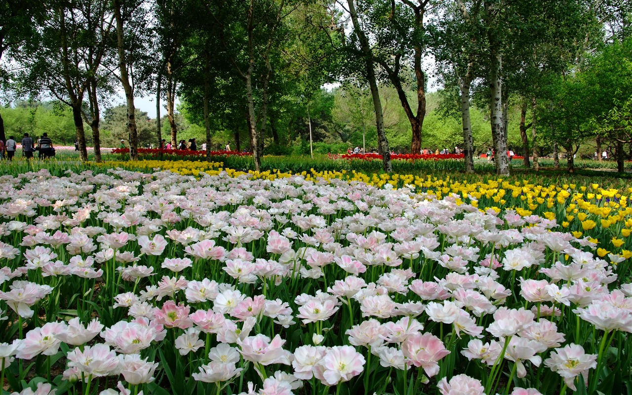 Xiangshan začátku letní zahrádka (prutu práce) #5 - 1280x800