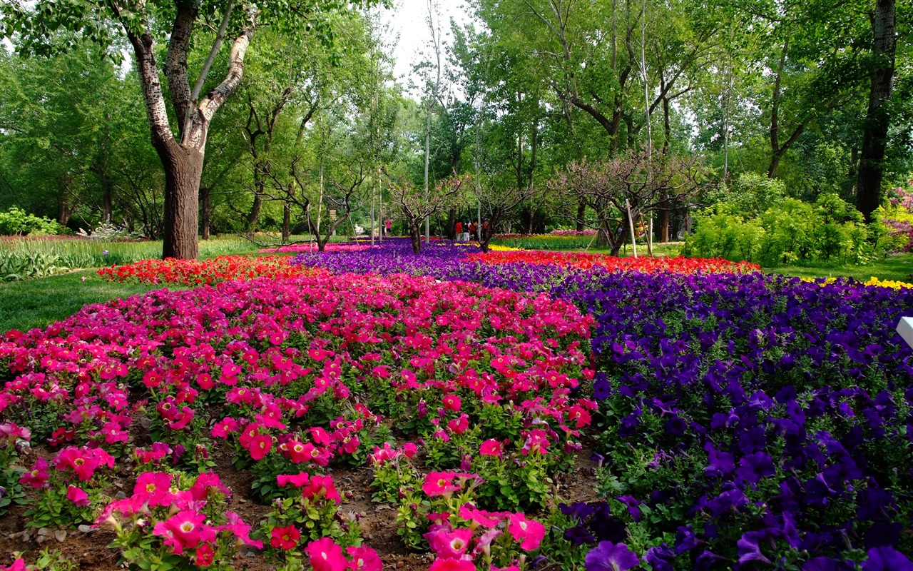 Xiangshan early summer garden (rebar works) #10 - 1280x800