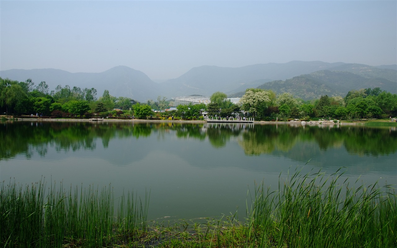 初夏的香山植物園 (螺紋鋼作品) #23 - 1280x800