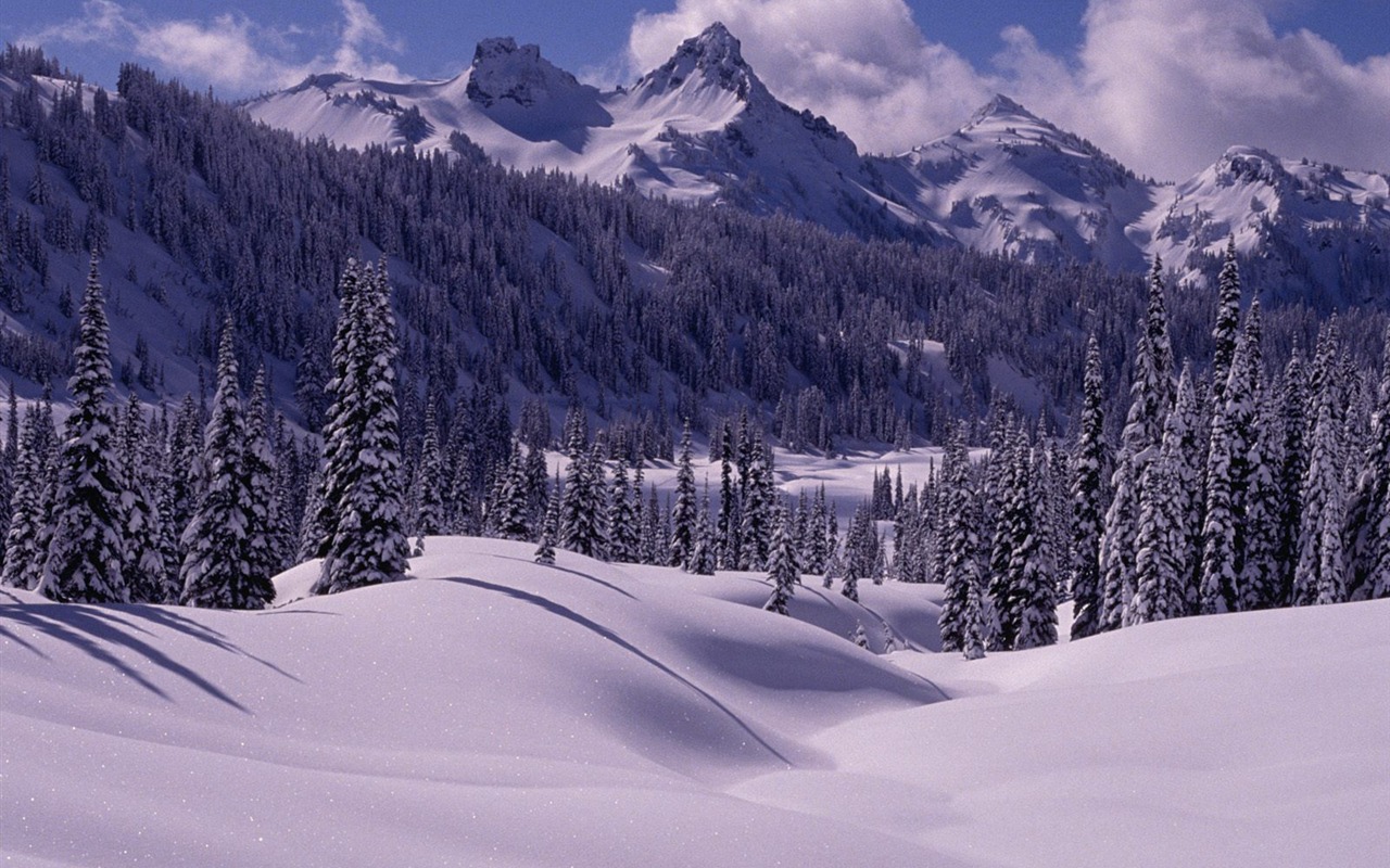 冬天雪景壁紙(三) #5 - 1280x800
