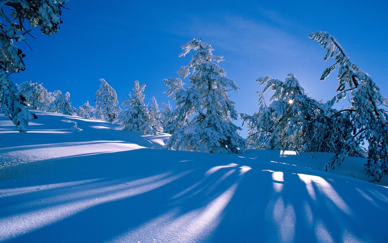 Winter Snow wallpaper (3) #14 - 1280x800