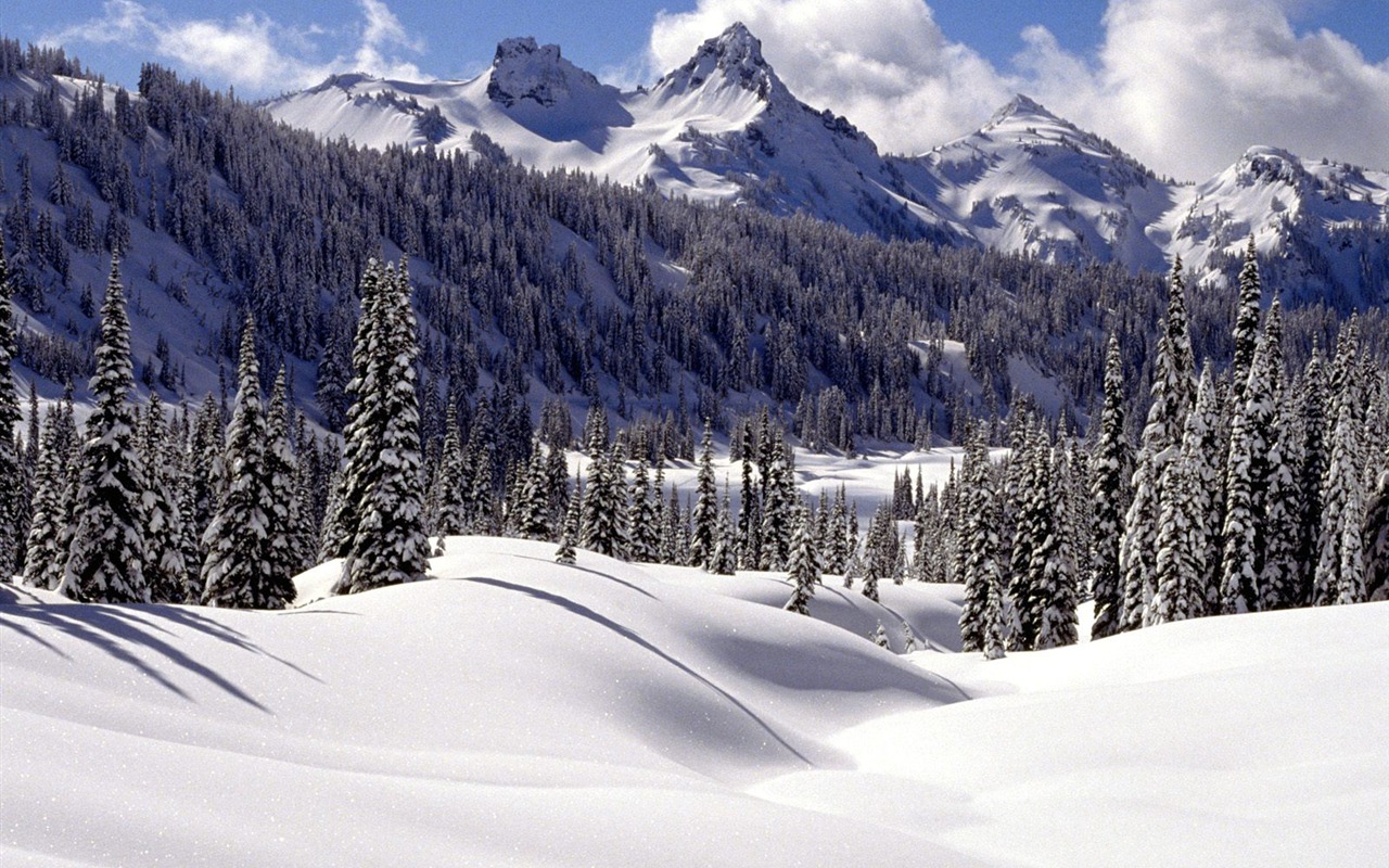 Winter Snow wallpaper (3) #18 - 1280x800