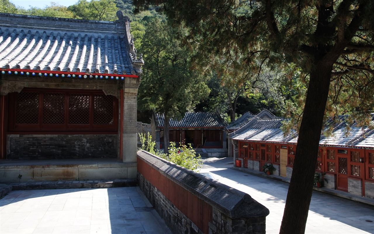자선 Jingxi 사원의 기념물 (철근 작품) #22 - 1280x800