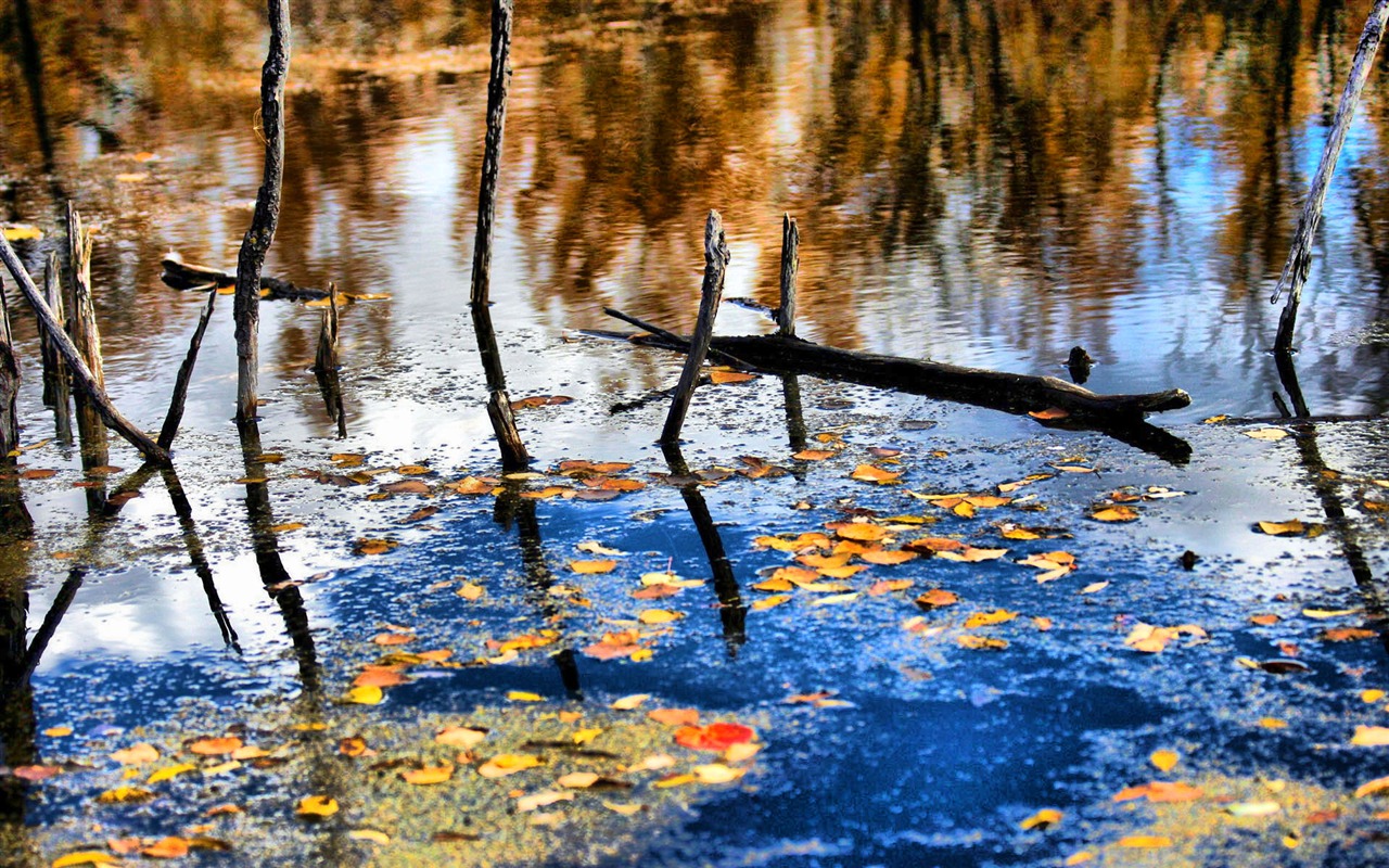 Krásně poskytnuté Krajina tapety (3) #1 - 1280x800
