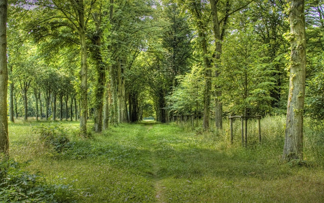 Krásně poskytnuté Krajina tapety (3) #6 - 1280x800