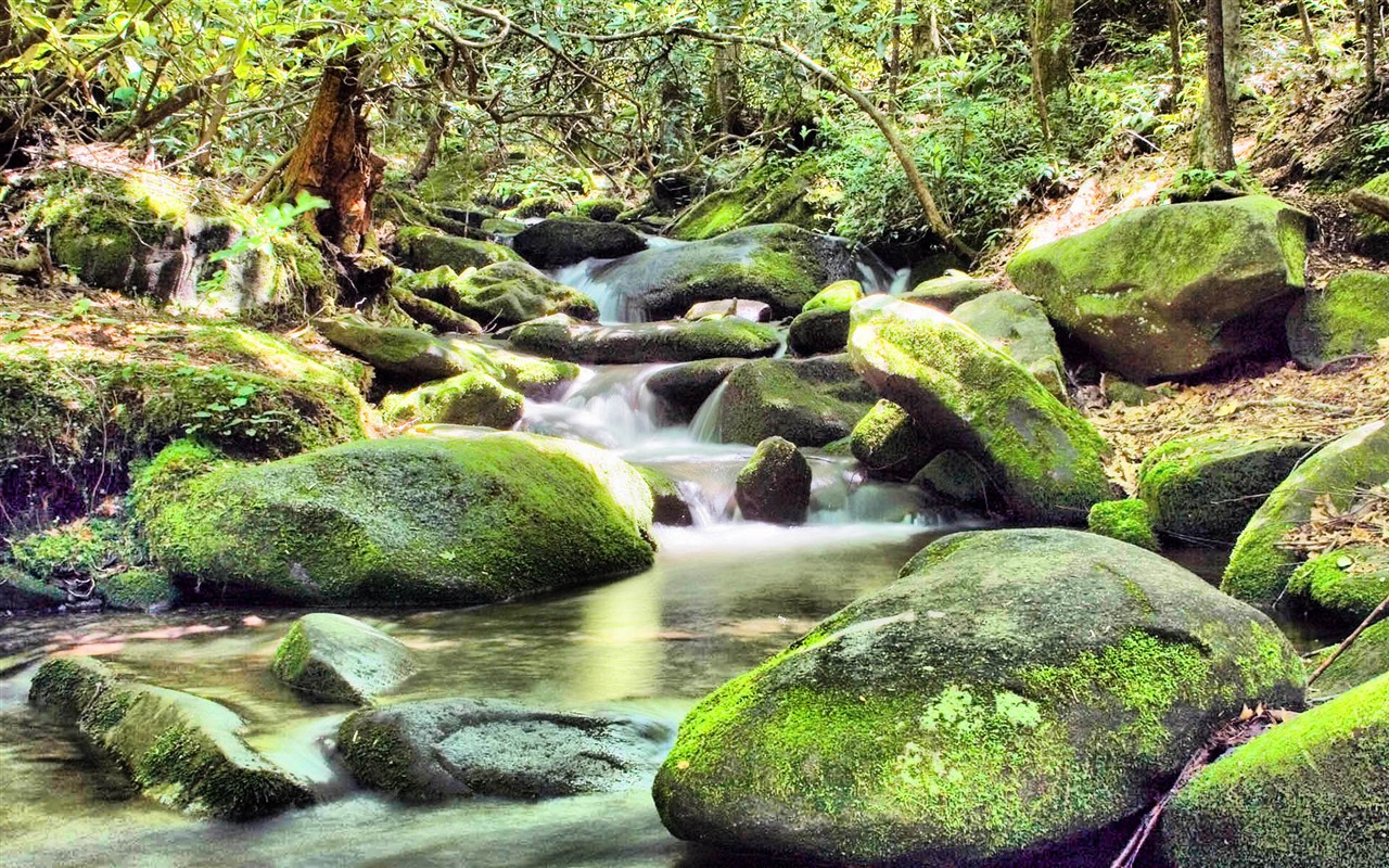 Beautifully rendered scenery wallpaper (3) #20 - 1280x800