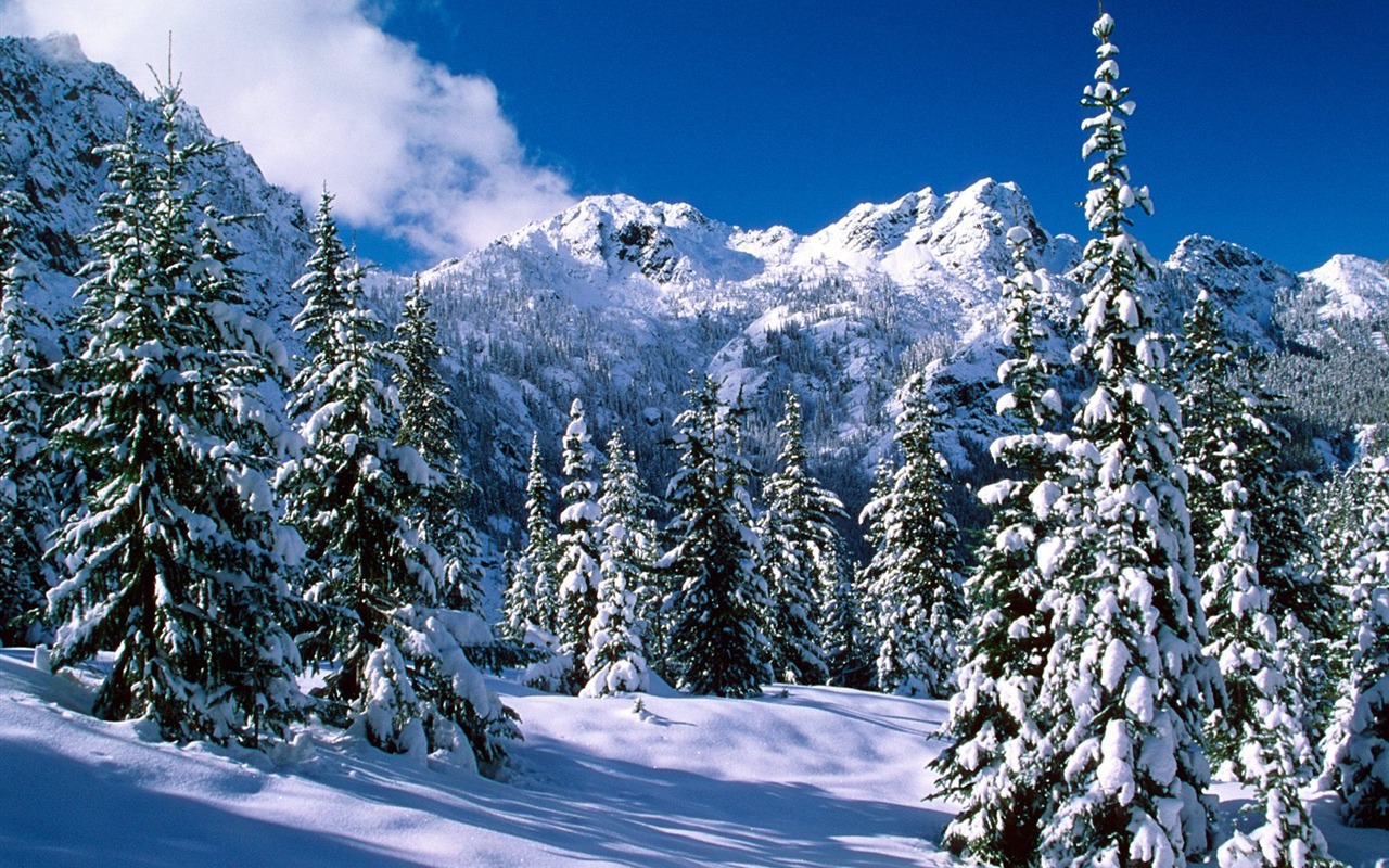 雪山雪景合集 壁紙(一) #15 - 1280x800
