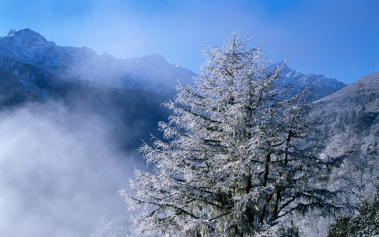 雪山雪景合集 壁紙(一) #17 - 1280x800