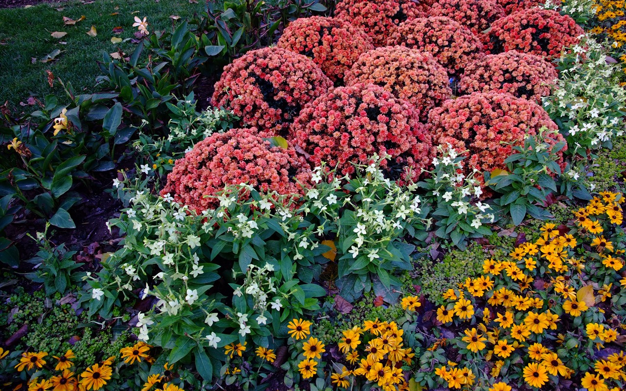 Xiangshan Herbst Garten (Bewehren) #5 - 1280x800