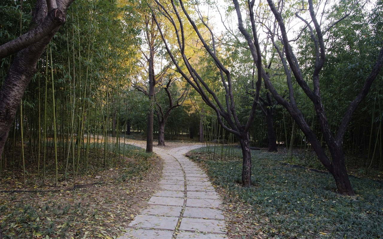Xiangshan podzimní zahrada (prutu práce) #9 - 1280x800